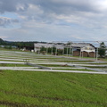 Zeltaufbau 
